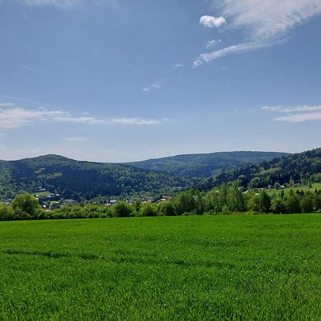 Apartament Brzozowy Zakatek Posada Gorna Zewnętrze zdjęcie