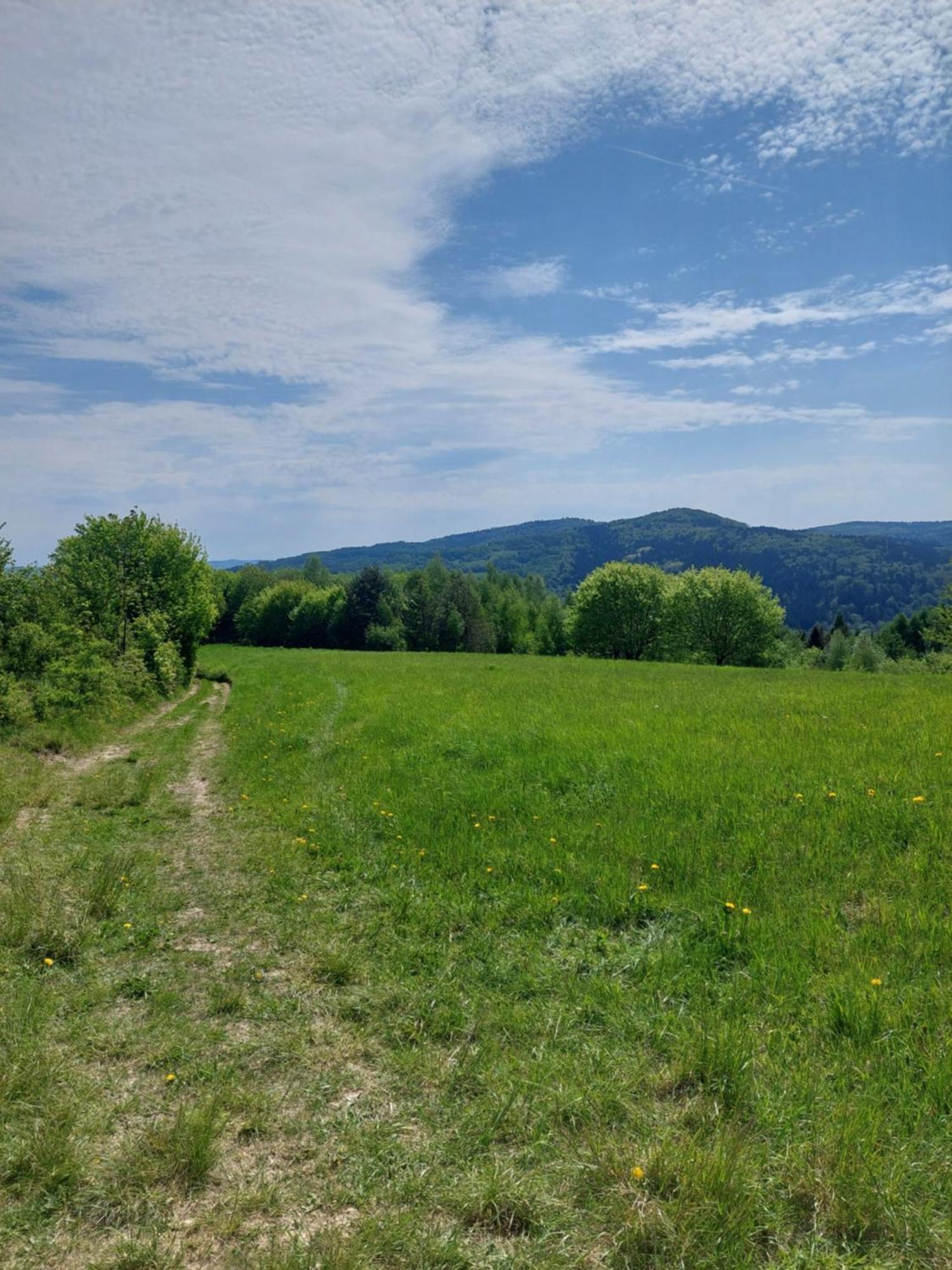Apartament Brzozowy Zakatek Posada Gorna Zewnętrze zdjęcie